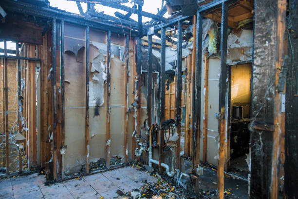 Professional Fire Damage Removal technician working in Lino Lakes, MN